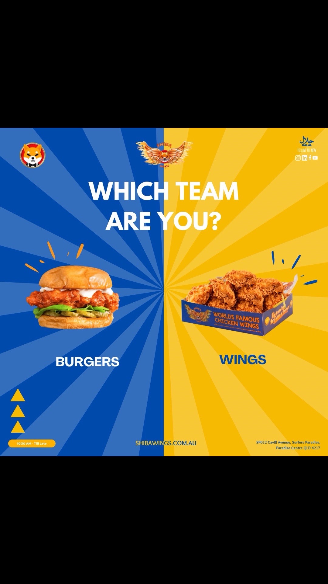 Shiba Wings portfolio asset